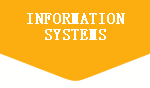 信息系统顾问/信息系统服务/信息技术服务