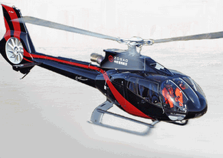 Helicopter manufacting/ Mercedes Benz/Car components/Aircraft leasing/Pilot training. 